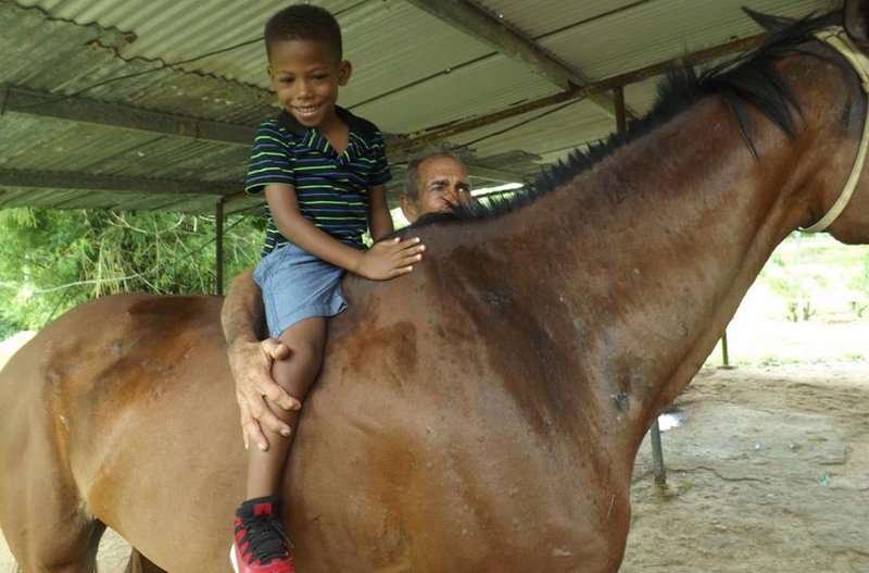 boy at the birdsong Vacation camp rides a horse at Valencia Nature Centre & Heritage Park.